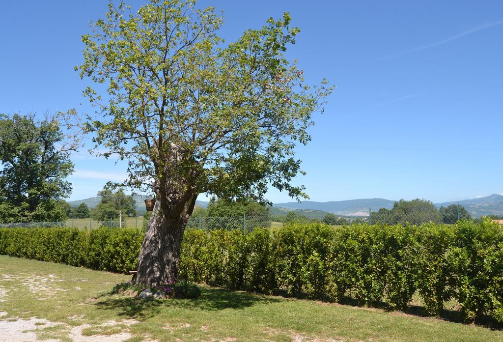 Отель Al Bosco Delle Api Gallicchio Экстерьер фото