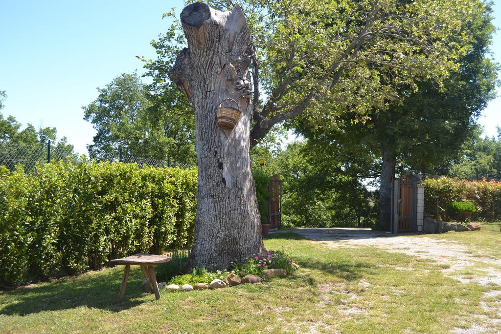 Отель Al Bosco Delle Api Gallicchio Экстерьер фото
